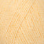Lemon (1198)