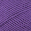 Pansy Purple (648)