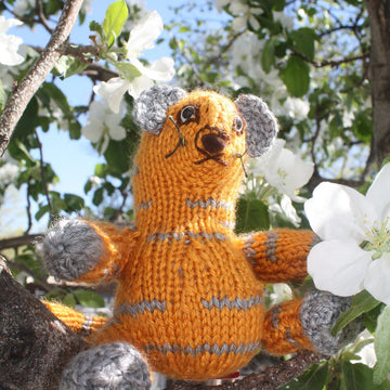 Manny Meerkat