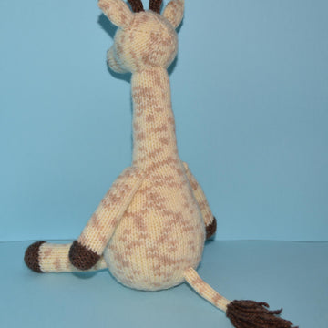 Jason The Giraffe