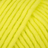 Neon Yellow (24)