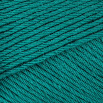 Alga (024)