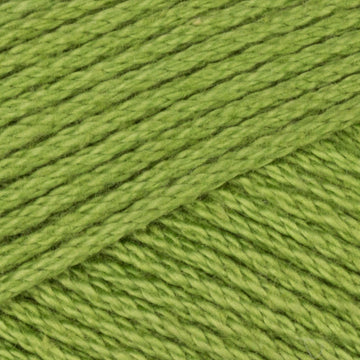 Grass (172)