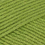 Grass (172)