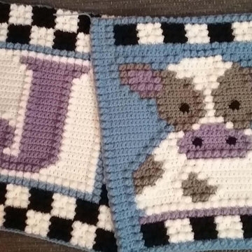 FGHIJ pillows