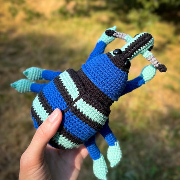 Blue Weevil