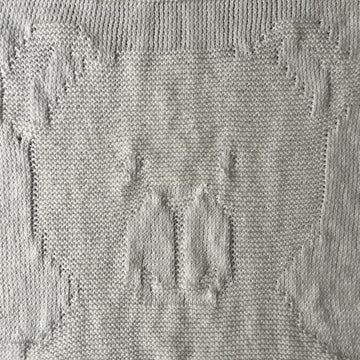 Baby Bear blanket
