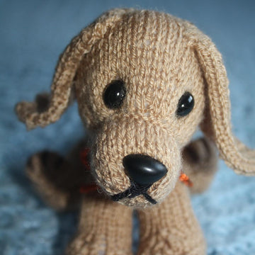 Willie the Mini Wiener Dog