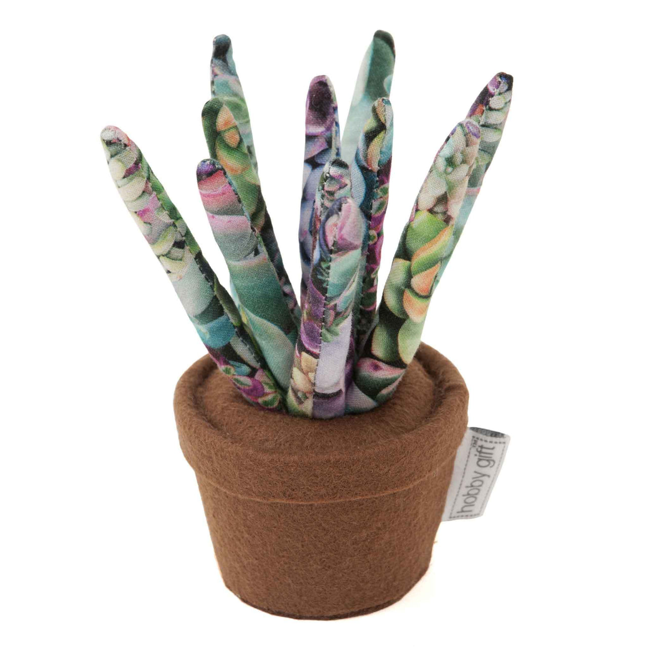 Hobbygift Succulent Pincushion