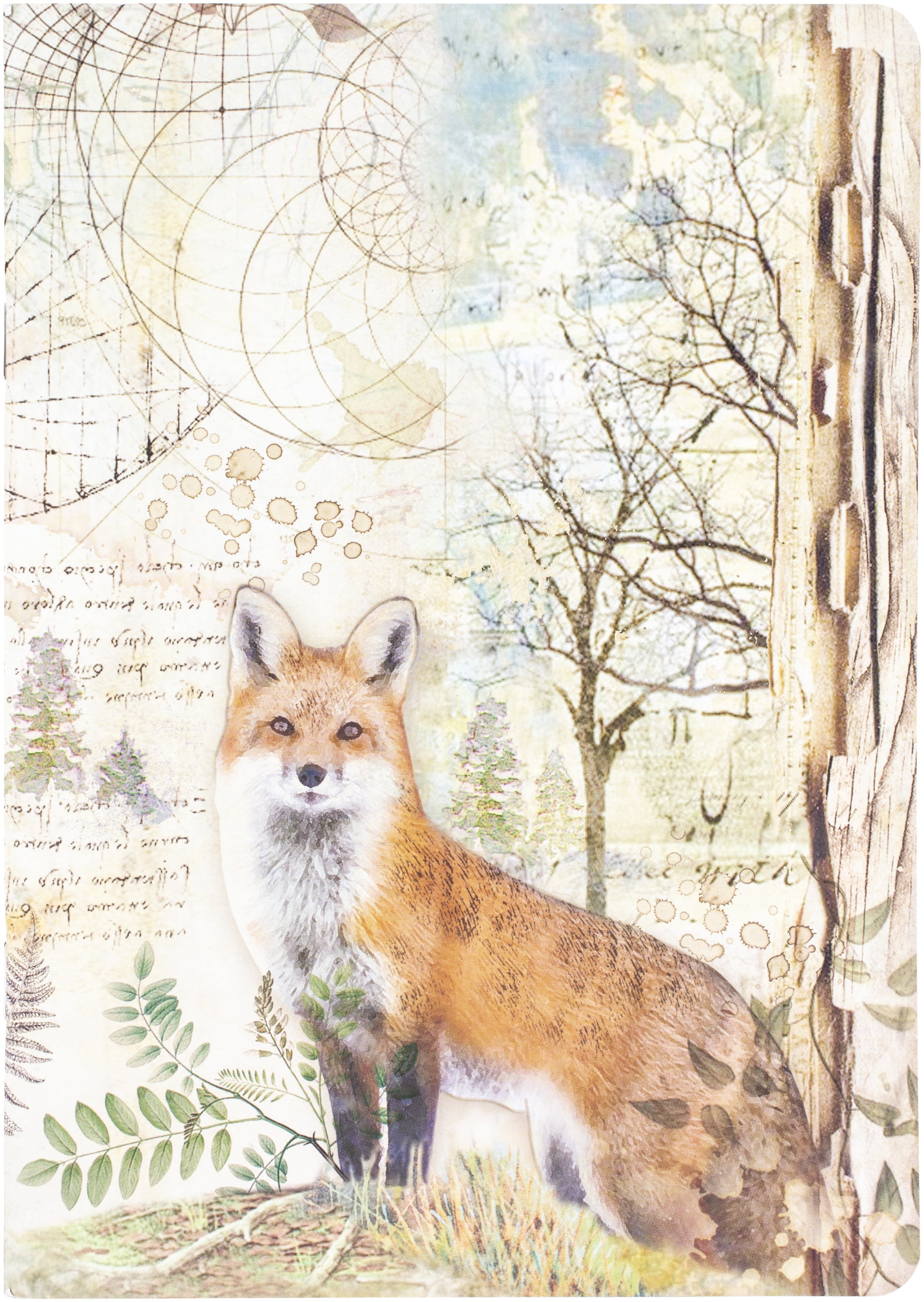 Stamperia Intl Stamperia Lined Notebook A5 - Fox