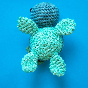 Tiara The Sea Turtle