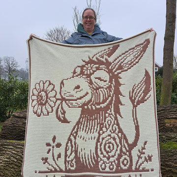 Donkey Daisy