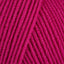 Fuchsia (22)