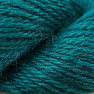 Peacock (139)