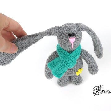 Lop-eared bunny