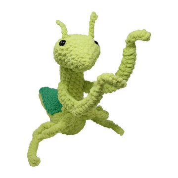 Praying Mantis