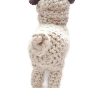 Portia Pug