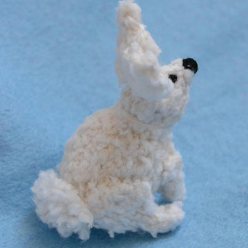 Easter Bunny Rabbit
