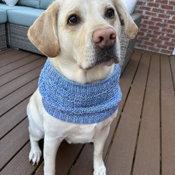 Chimney Tops Trail Cowl