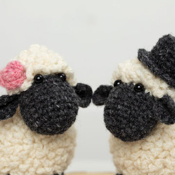 Sheep Mr and Mrs