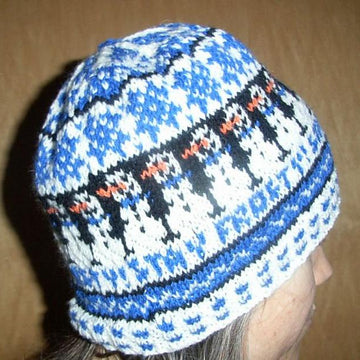 Stay frosty beanie