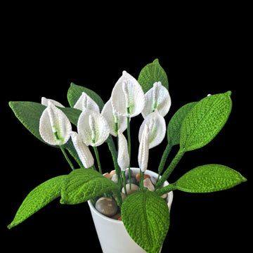Crochet Peace Lily flowers pattern