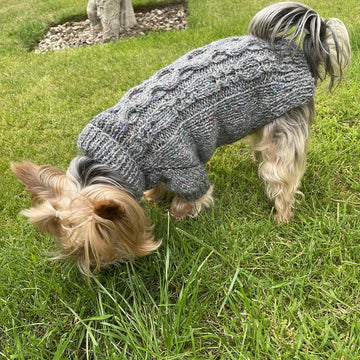 Slate Dog Sweater