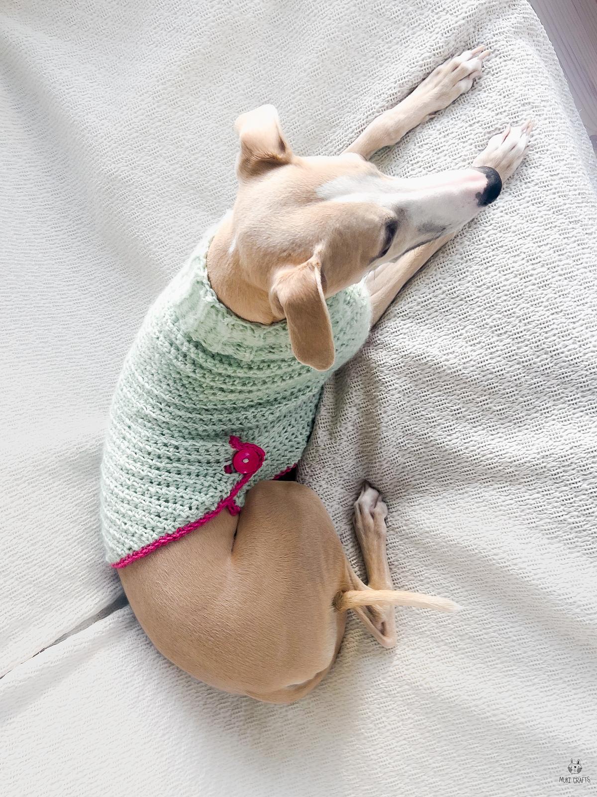 Doggo no 18 sweater