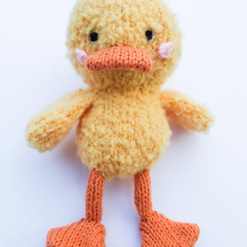 Darwin Duck