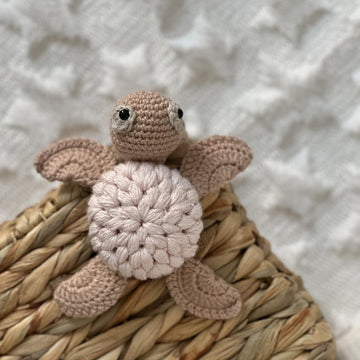 Sea turtle Olivia