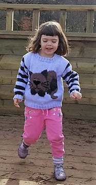Sleeping Cat Children's Jumper