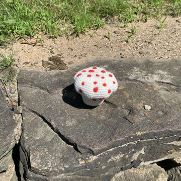 Bleeding Tooth Mushroom Plush