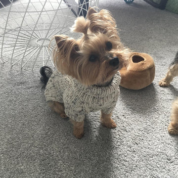 Tweed Dog Sweater