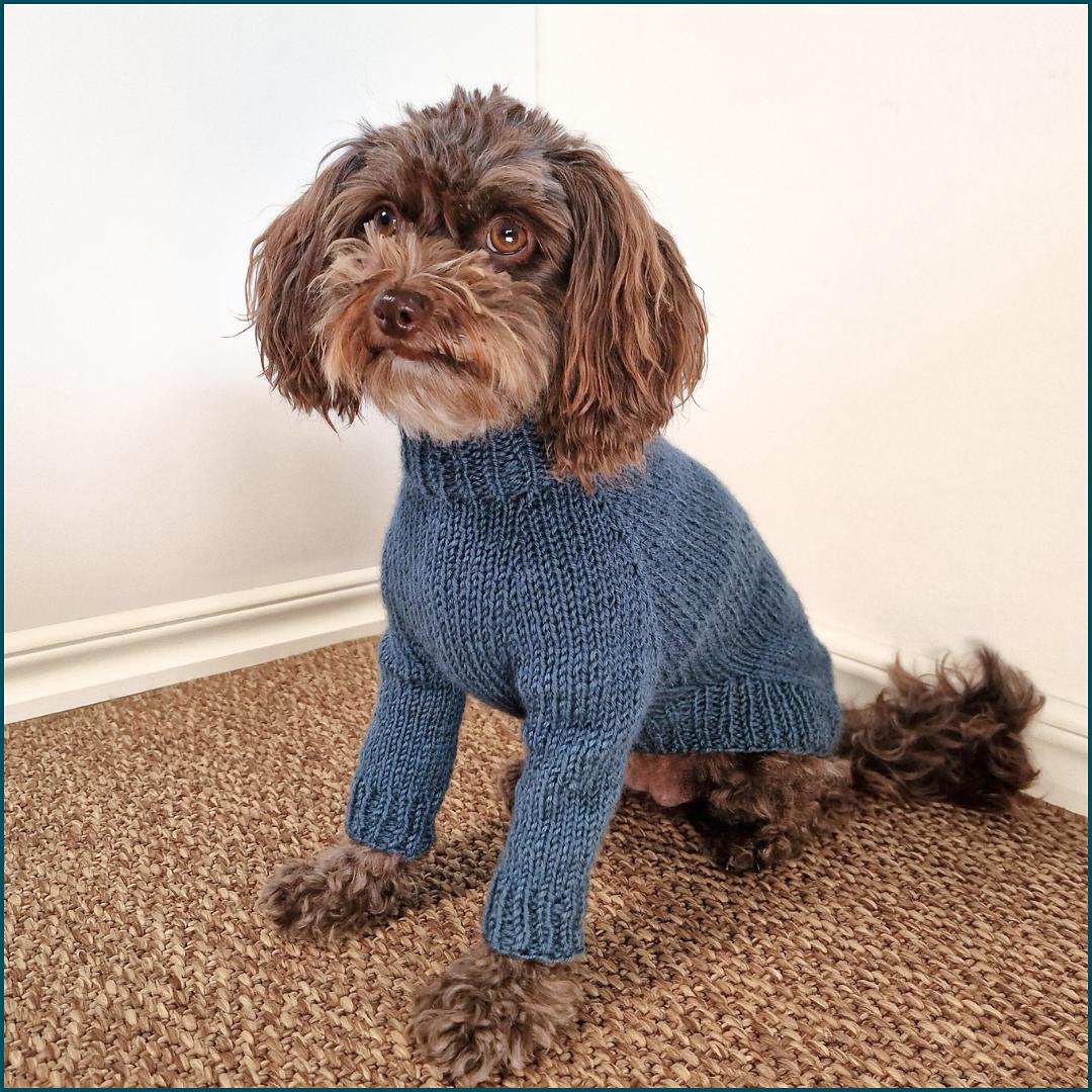 Snug Pup Pullover