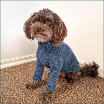 Snug Pup Pullover