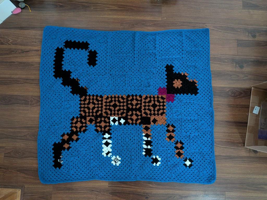 EGS Cat