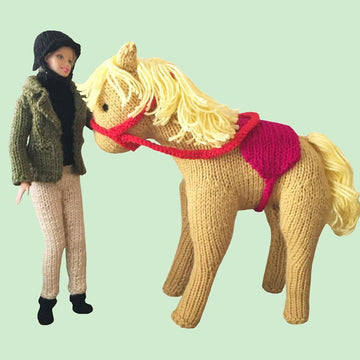Pony / horse and Barbie riding outfit