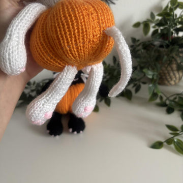 Pumpkin kitty
