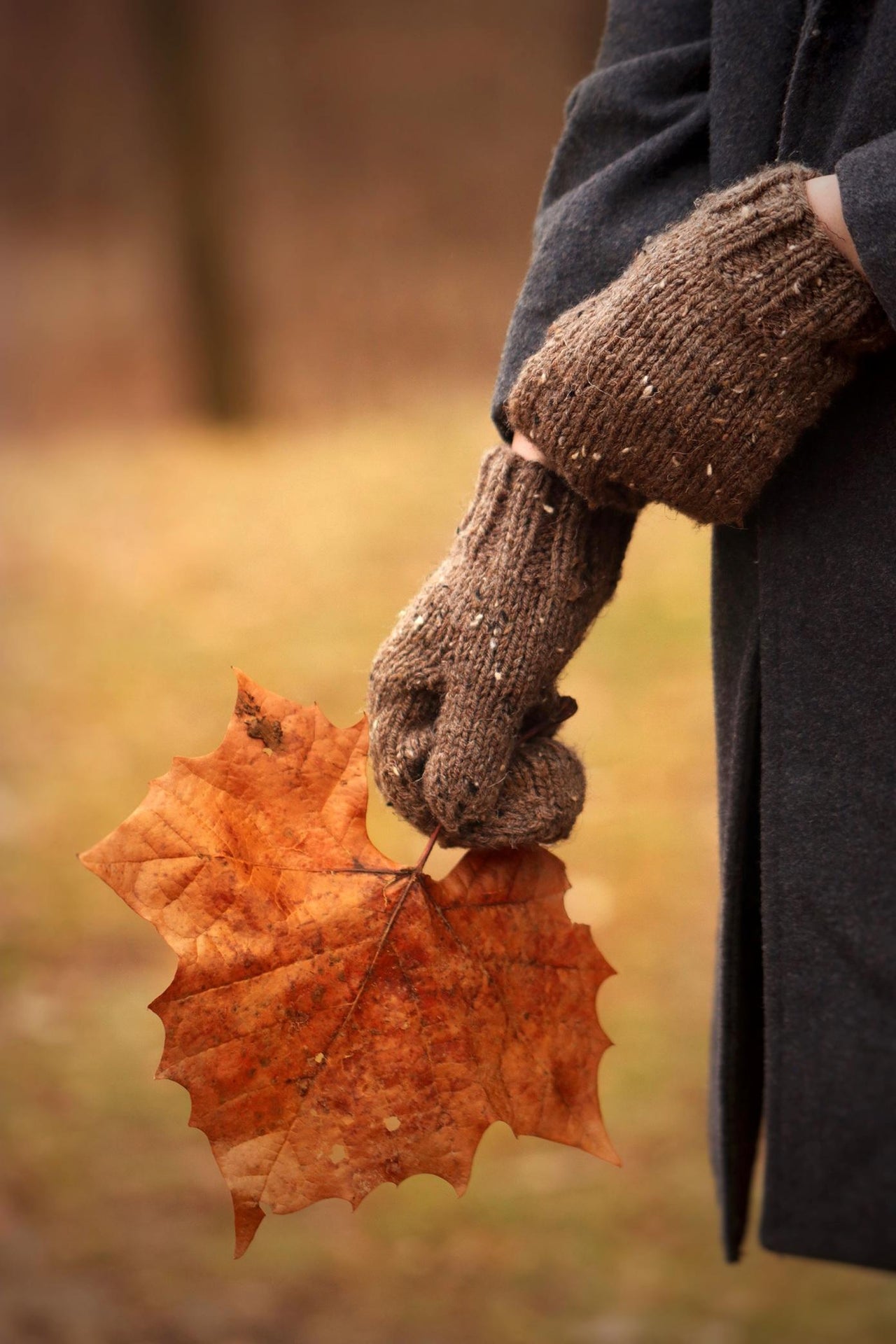 The Hearth Mittens