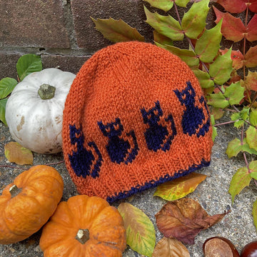 Halloween Cat and Pumpkin Hats