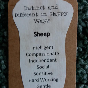Sheep or lamb