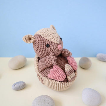 Arlo the Armadillo Amigurumi