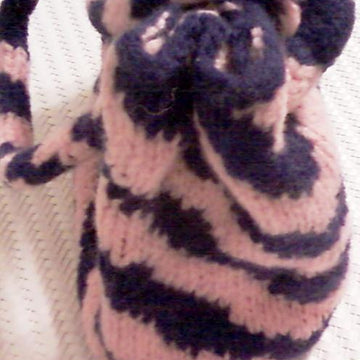 The zebra bag pattern