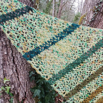 Ned's Dye-Pot Shawl