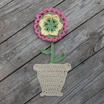Flower in a Pot