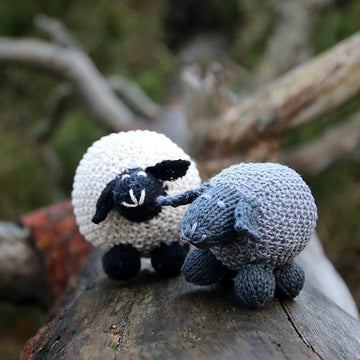 Valentina the sheep