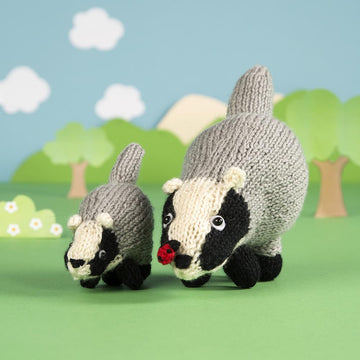 Quirky Badgers