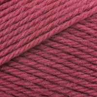 Raspberry (117)