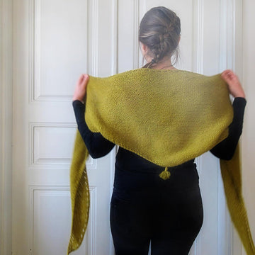 Kari Shawl