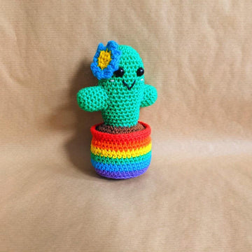 Rainbow Pride Cactus